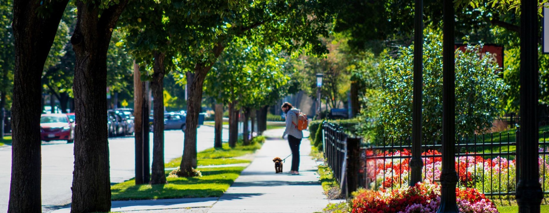 Neighborhood 