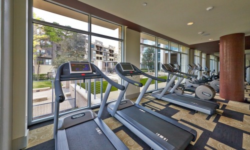 Luxury fitness center with modern equipment - Feel the Burn at Brady